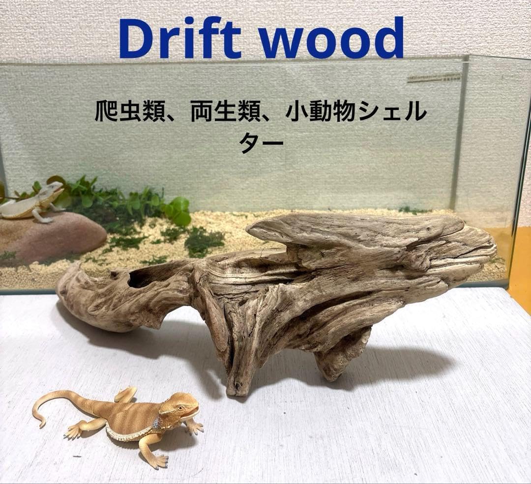 G11 自然流木 灰汁抜き処理済み 爬虫類、両生類シェルター アクア