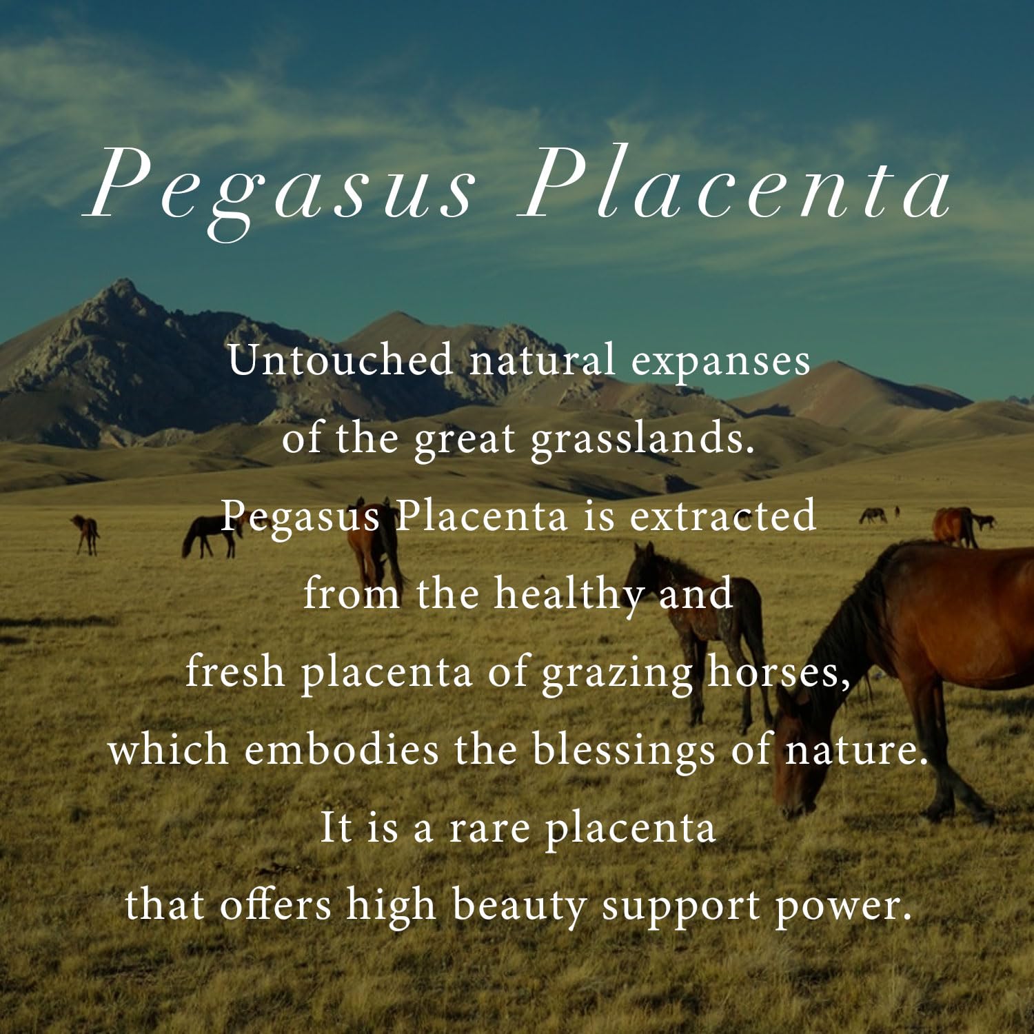 shampoo & conditioner (conditioner) - Image 4