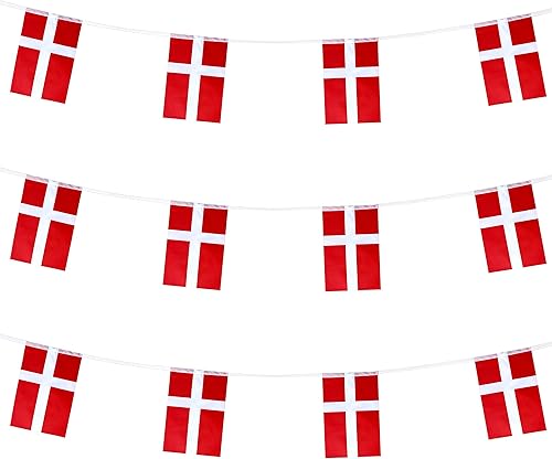 Vista 40 de ZXvZYT Cadena de bandera argentina de Argentina, pequeñas banderas de banderín argentino, para gran apertura, eventos deportivos nacionales