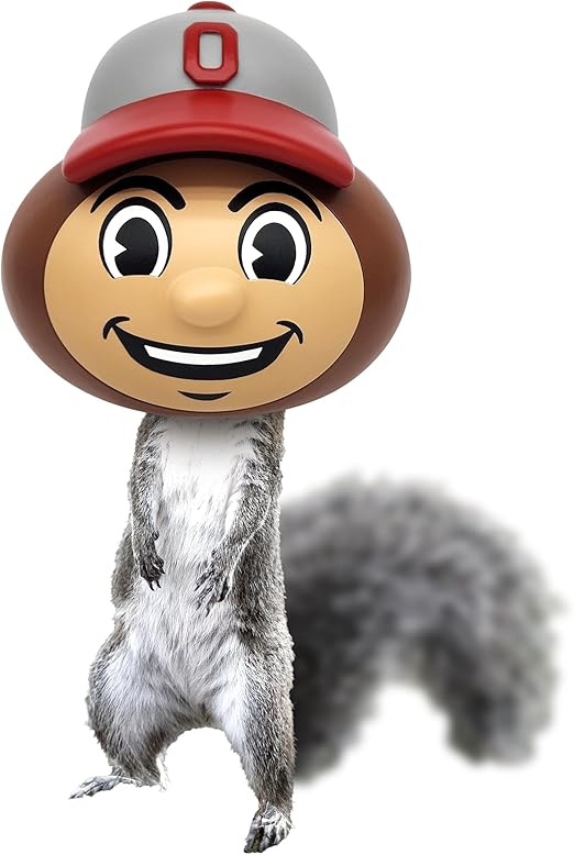 Brutus Buckeye Squirrel Feeder by Nutt Heads Ohio – Officially Licensed Ohio State University Product | OSU Outdoor Yard Décor for Fans & Garden Gift Idea