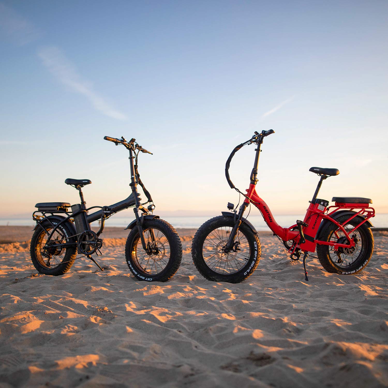 Rattan 750W Electric Bike for Adults Electric Folding Ebikes 20''x4.0