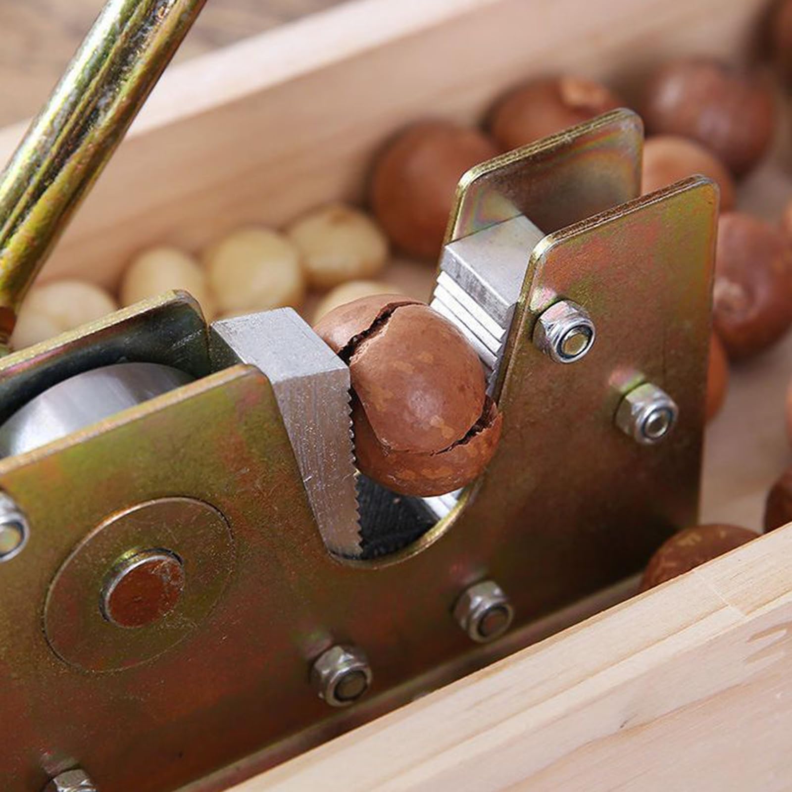 Casse-Noix avec Base en Bois Pratiques avec Compartiment De Rangement pour Les Amateurs Cuisine Outil en Plastique