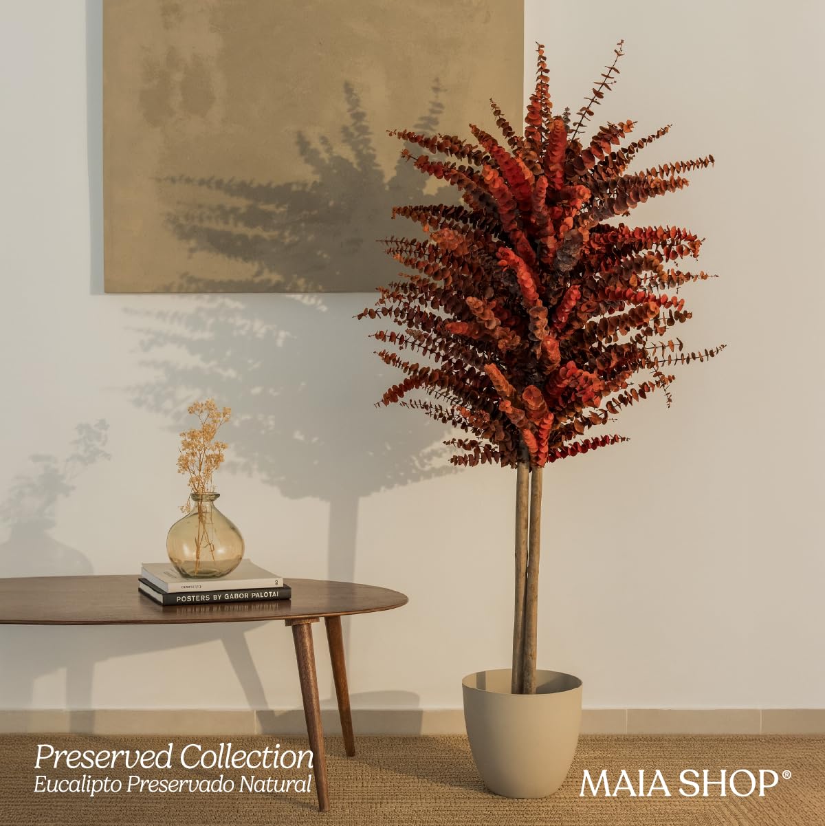 Maia Shop Eucalipto Preservado - Eucalipto Natural, Árbol Eucalipto Preservado Naranja Baby 150 cm con Hojas Secas, Decoración Hogar, Plantas Naturales Interior