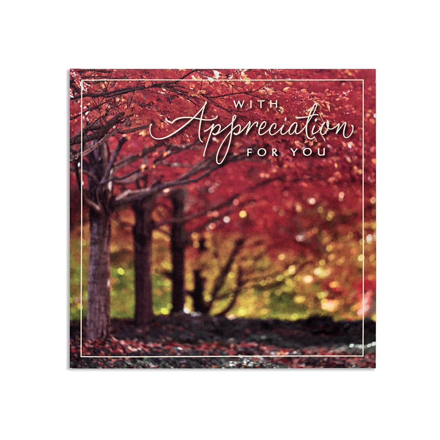 Hallmark Business Bulk 25 Pack Thanksgiving Cards for Customers & Clients (With Appreciation), 5x5 Square Cards, Message Inside, Envelopes Included