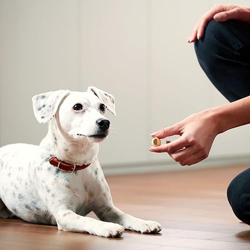Miniatura 34 de Milk-Bone MaroSnacks - Golosinas para perros, paquetes de recambio de 38 onzas (paquete de 2) con médula ósea real y calcio