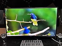 Review Image by Miguel Lopez Miguel Lopez