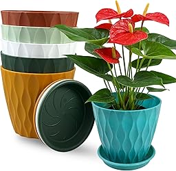 6 Pack Plastic Plant Pots 15cm/6-in Flower Pots with Drainage Holes and Tray Modern Decorative Planter Pot Indoor Outdoor Planters for All House Plants(6 Colour)
