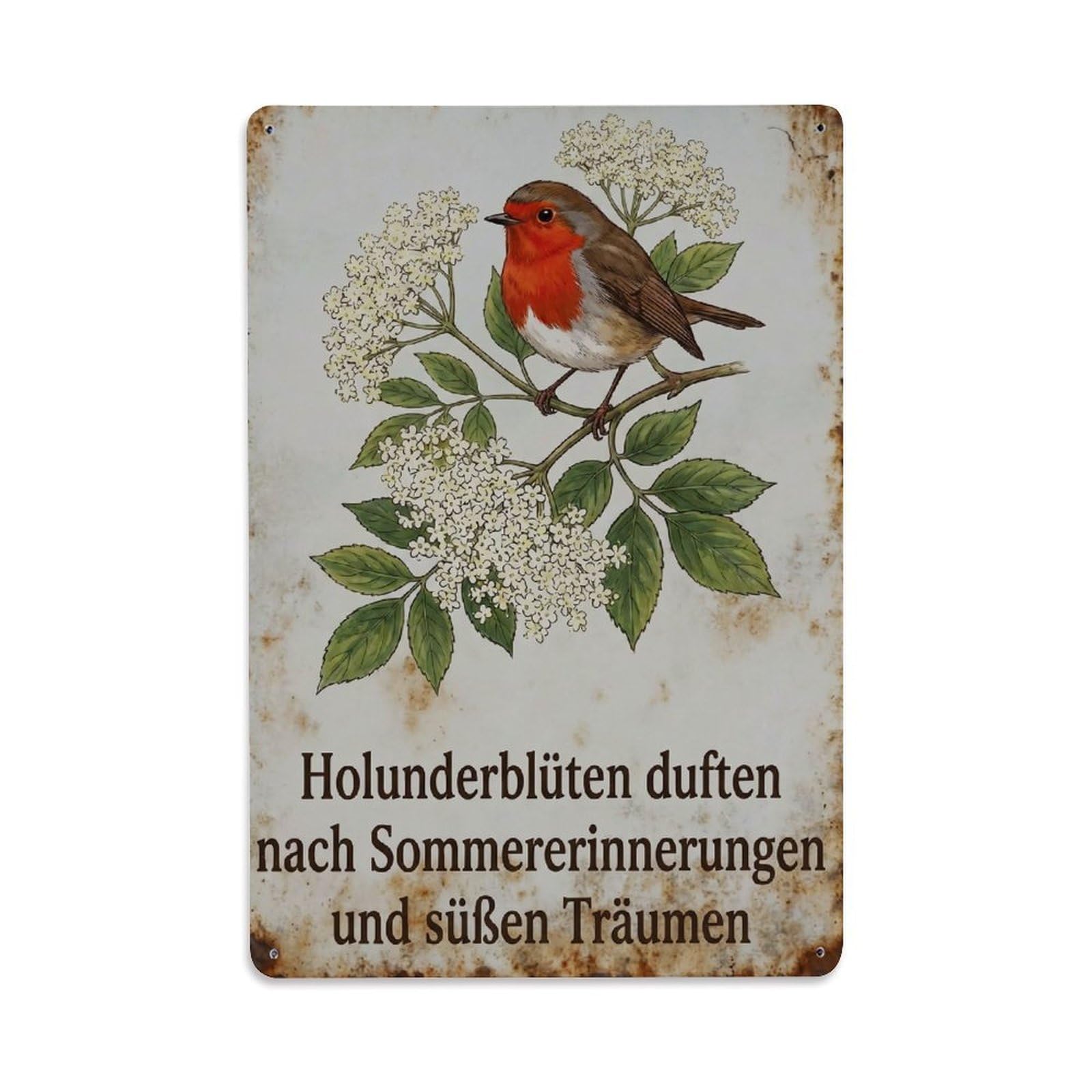 Robin Bird Garden Quote Elderflower Bloom Metal Tin Sign