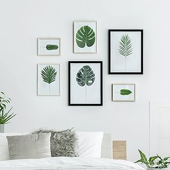 Amazon｜siawadeky モンステラの葉 66枚セット フェイクリーフ