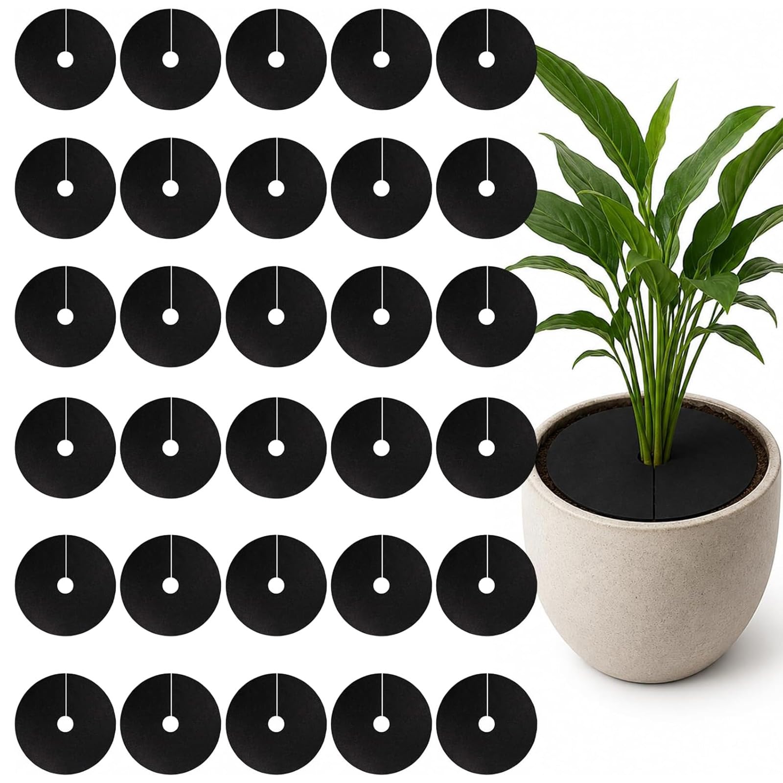 Gdrghe 30PCS Cabbage Collars, Round Non-woven Plant Mulch Ring, Plant Protector Mat for Weed Control Soil Moisture Retention, Weed & Pest Protection for Garden Flower Beds Potted Plants (25mm)