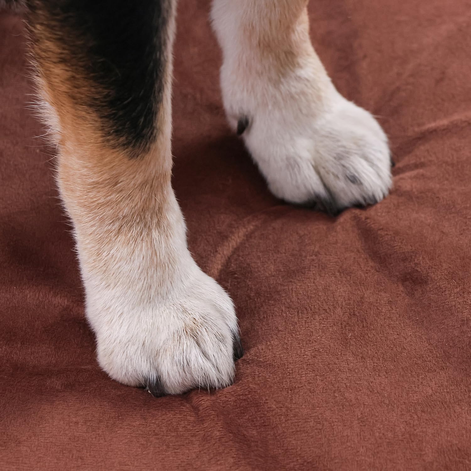 Elevated Dog Beds Frame with Mattress, Raised Wood Pet Bed Sofa Indoor for Large Medium Small Dogs Cats (Brown)