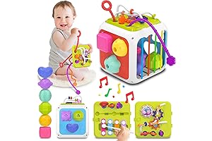 Montessori Toys for 1 Year Old Girl - Educational Sorter Toy for Early Development