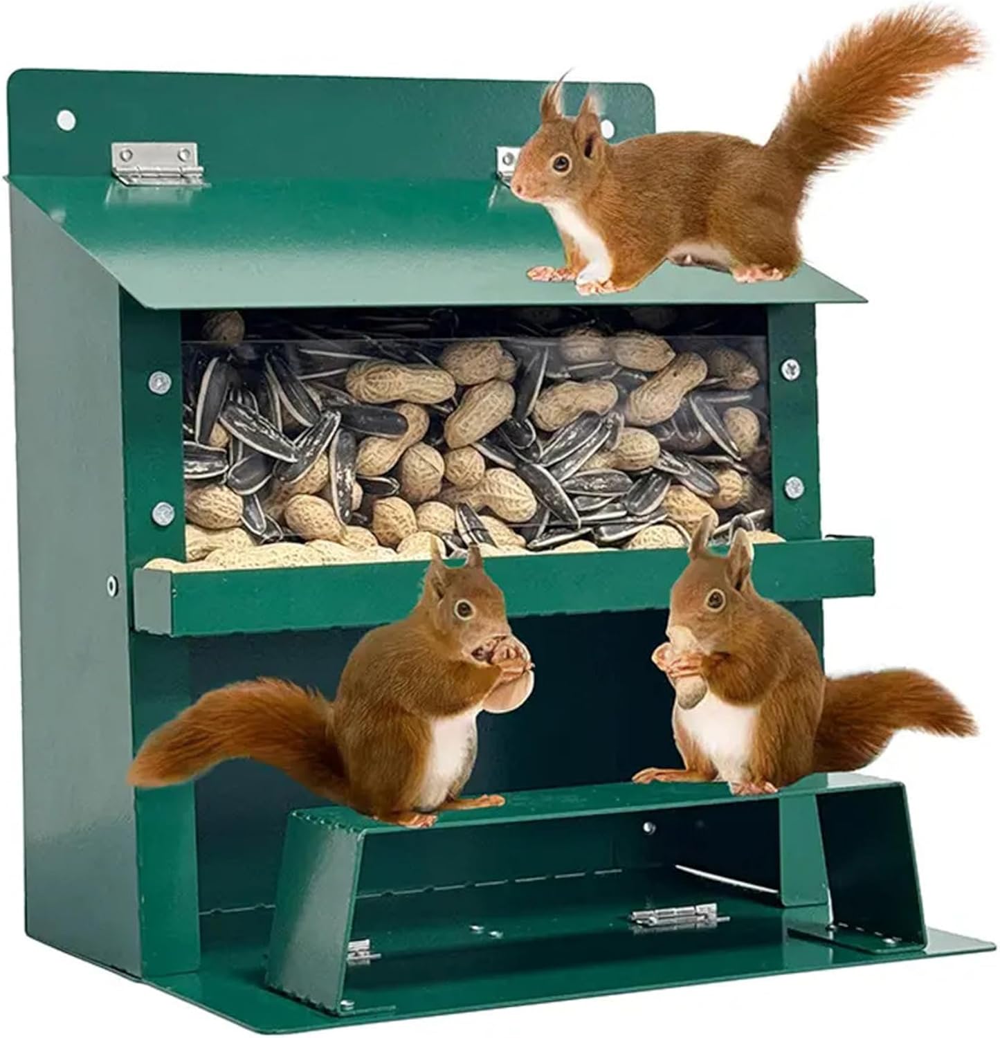Squirrel Feeder 9×8×6in Metal Squirrel House with Clear Window & Stand Foldable Heavy Duty Box for Corn, Nut, Peanut, Outside Feeders for Outside