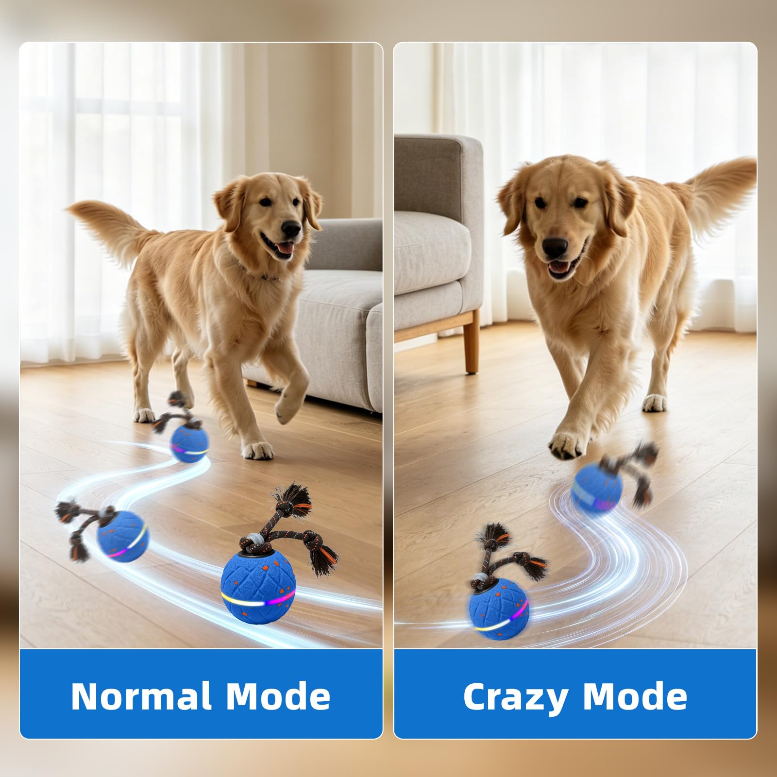 Interaktiver Hundeball - Wicked Ball Rolly mit Seil & Bellen, Intelligentes Interaktives Hundespielzeug mit 2 Spielmodi, E-TPU, USB-C aufladbar, RGB-Lichter, Geeignet für kleine bis große Hunde