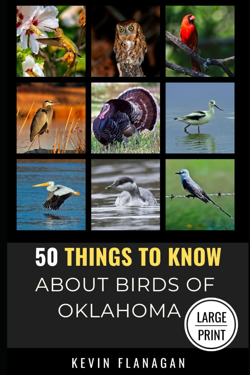 50 Things to Know About Birds in Oklahoma Large Print: Birding in the Oklahoma (50 Things to Know About Birds and Birdwatching: Birdwatching guides, bird identification tips, and regional bird books)