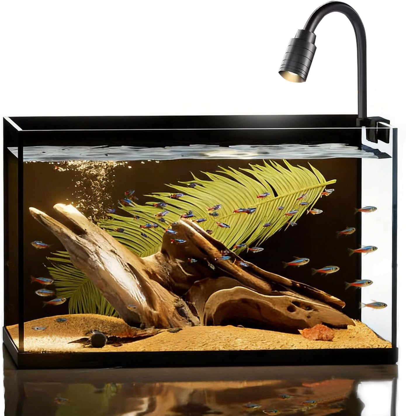 Small Aquarium Set, 2 Gallon Nano Glass Fish Tank Starter Kit with Aquarium Light Cleaning Tool & Décor, Leak-Proof Ultra-Clear Rimless Black Back Desktop Betta Tank (2 Gallon Nano Tank)