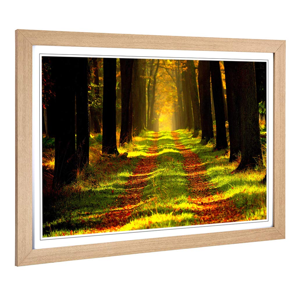 Big Box Art Framed Print of Landscape Forest Woodland Path Design | Wall Art Picture | Home Decor for Kitchen, Living, Dining Room, Bedroom, Hallway, Office, Oak, A2 / 24.5x18 Inch / 62x45cm