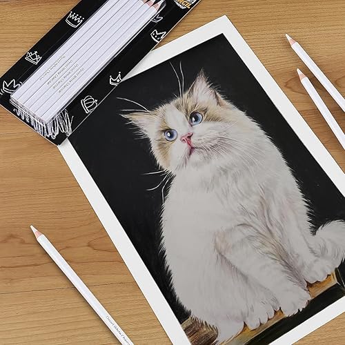 Miniatura 5 de Dyvicl Juego de 6 lápices de carbón blanco para dibujar, dibujo, sombreado, mezcla