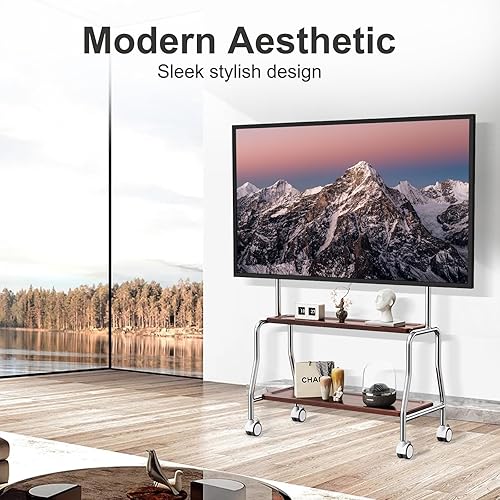 Miniatura 7 de Caballete de TV móvil con ruedas para pantallas planas LCD LED OLED de 32 a 75 pulgadas, soporte de TV portátil de acero inoxidable con ruedas de
