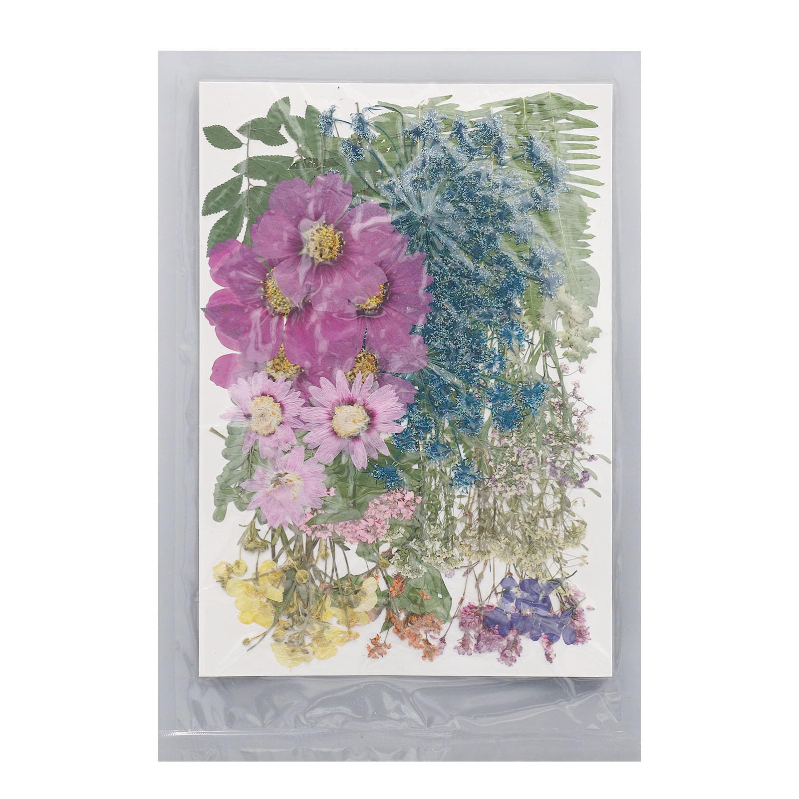 Fleurs séchées pour scrapbooking sans relief | 110 pièces de fleurs pressées réelles 19x27 cm