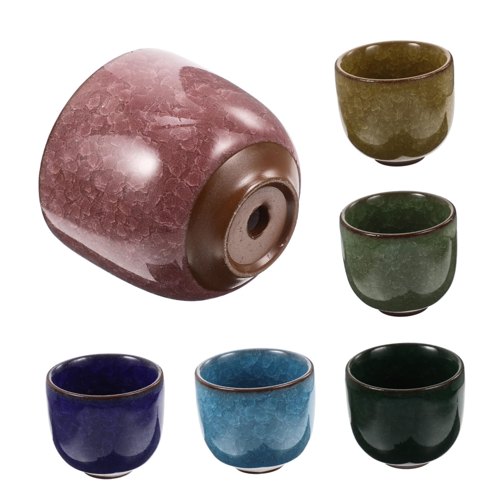 Plantes de jardin intime avec les pots en céramique 6pcs