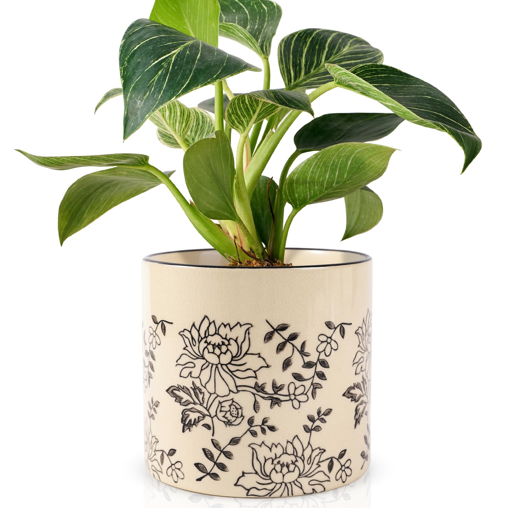 STHIE Indoor Ceramic Plant Pots with Drainage Holes 5 Inch Cute Succulent Flower Pots Small Orchid Planter Pots for Indoor...