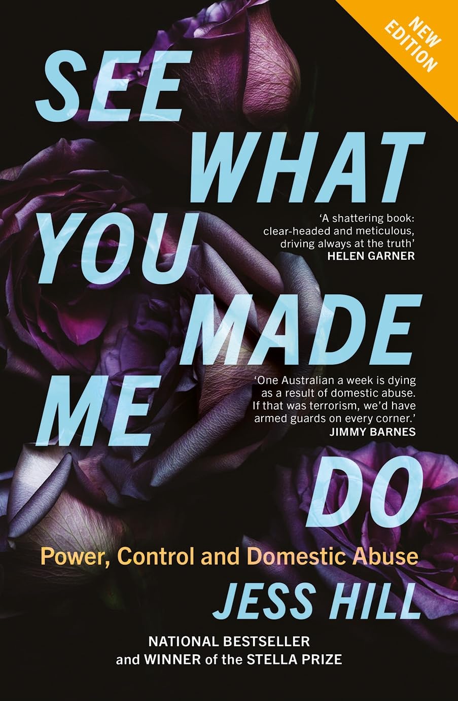 See What You Made Me Do: Power, Control and Domestic Abuse: Updated Edition