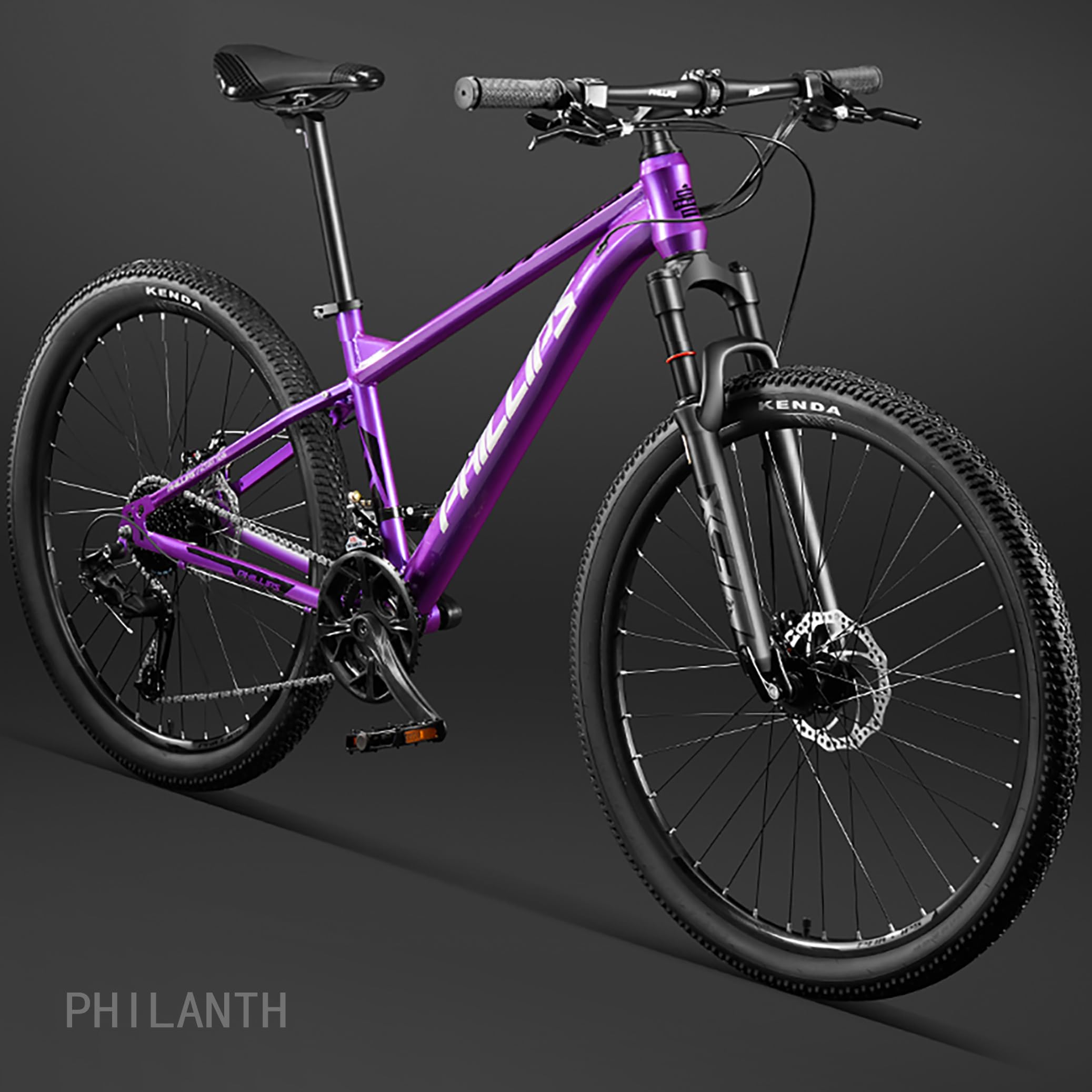 MTB マウンテンバイク 27.5インチ フレームサイズ430mm 楽天市場】PANTHER マウンテンバイク MTB 29inch×2.2 MAXXIS