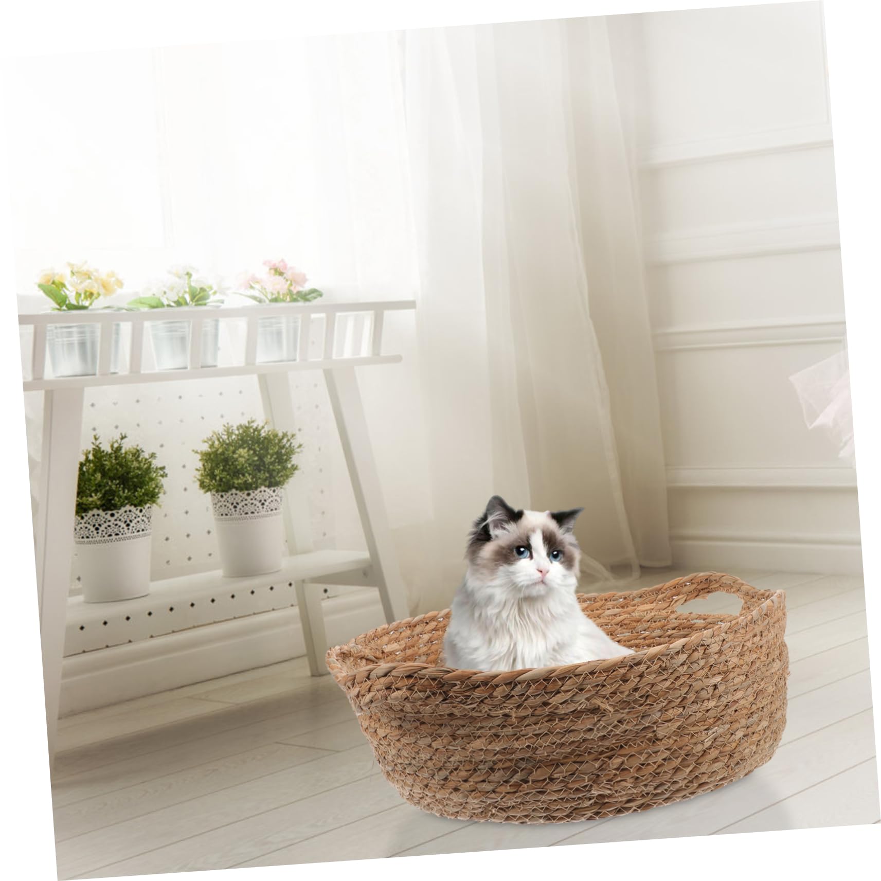 Sosoport Cama para De Tejida para Gatos Transpirable Diseño para Interior y Exterior Accesorio para Dormir y