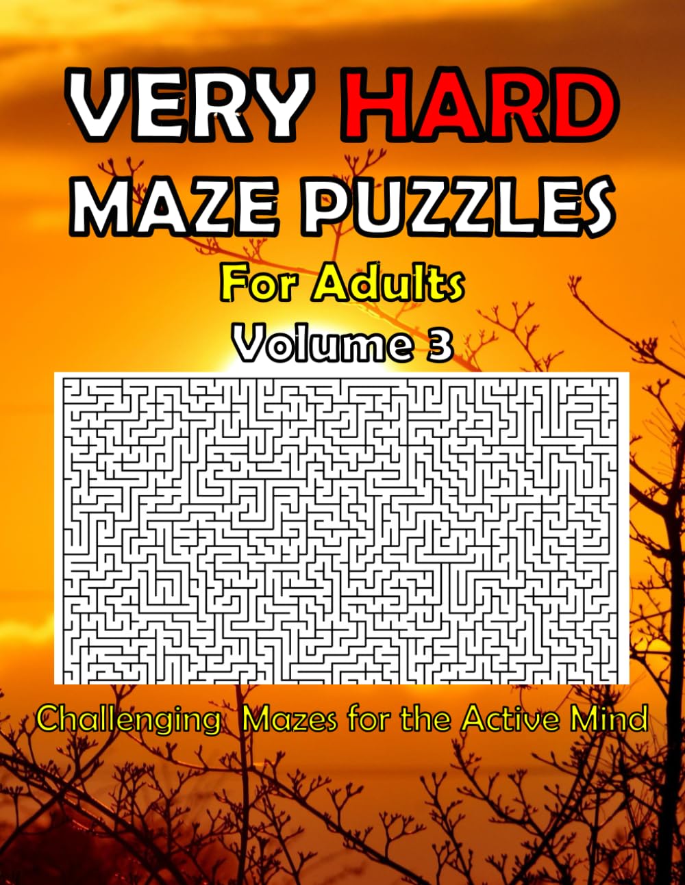 Very Hard Maze Puzzles for Adults Volume 3: Challenging Mazes for the Active Mind