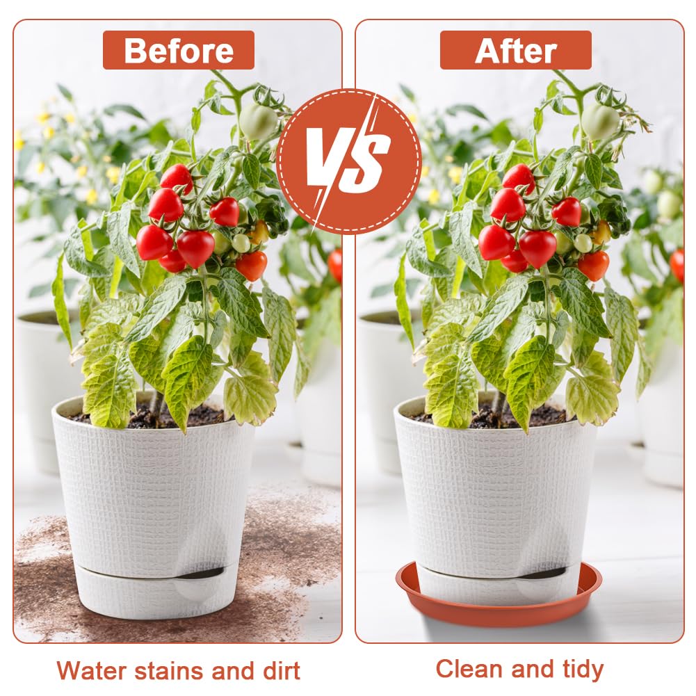 vsshe 5 Pack Plant Saucers, 30cm Round Plants Pots Trays, Heavy Duty Garden Plant Saucer, Plants Plastic Plate Pot Tray - Image 4