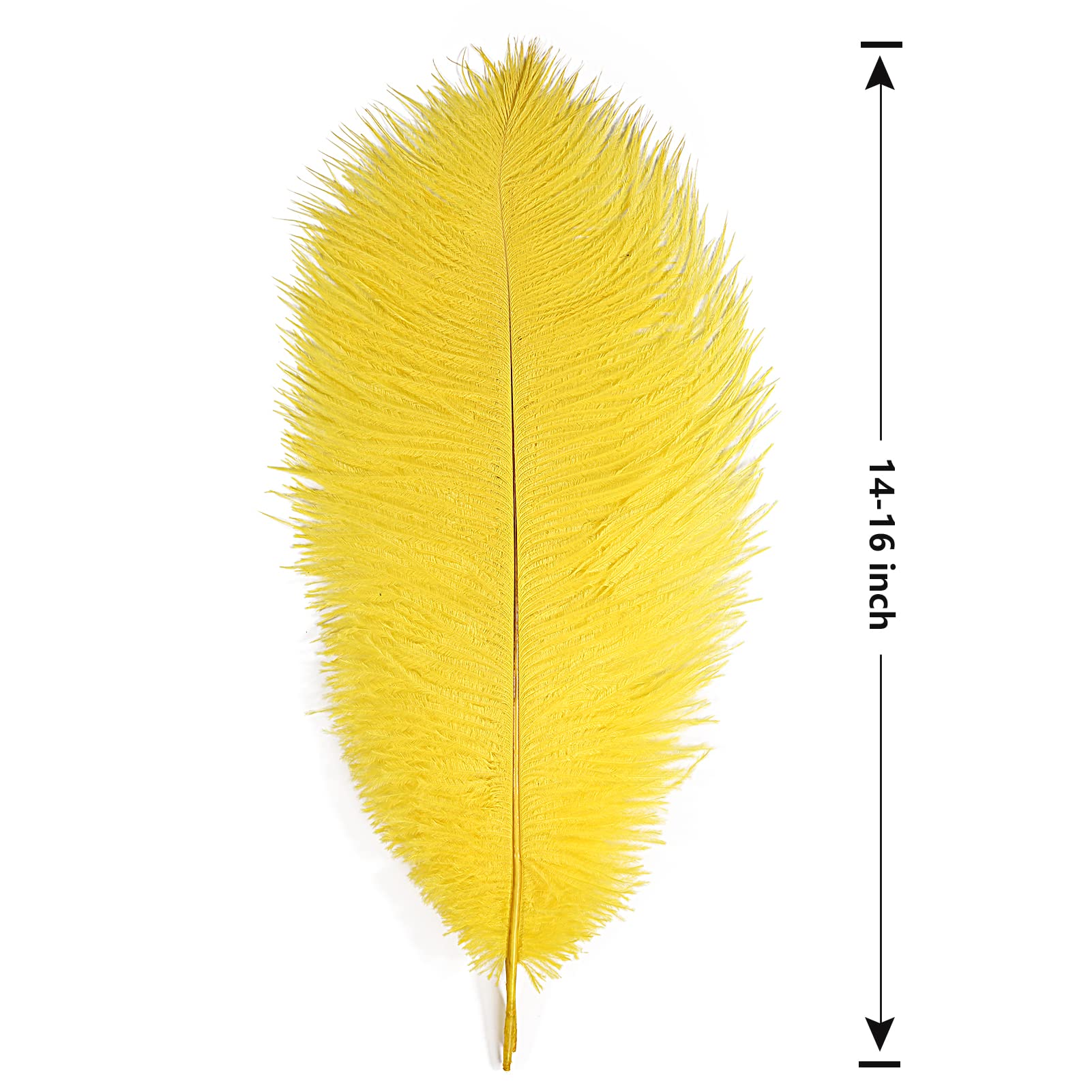 Plumes D'autruche Naturelles – Kit De 12 Plumes Or Clair – 30-35 Cm – Avec Fils De Fer Et Ruban – Pour Déco, Mariage, Artisanat