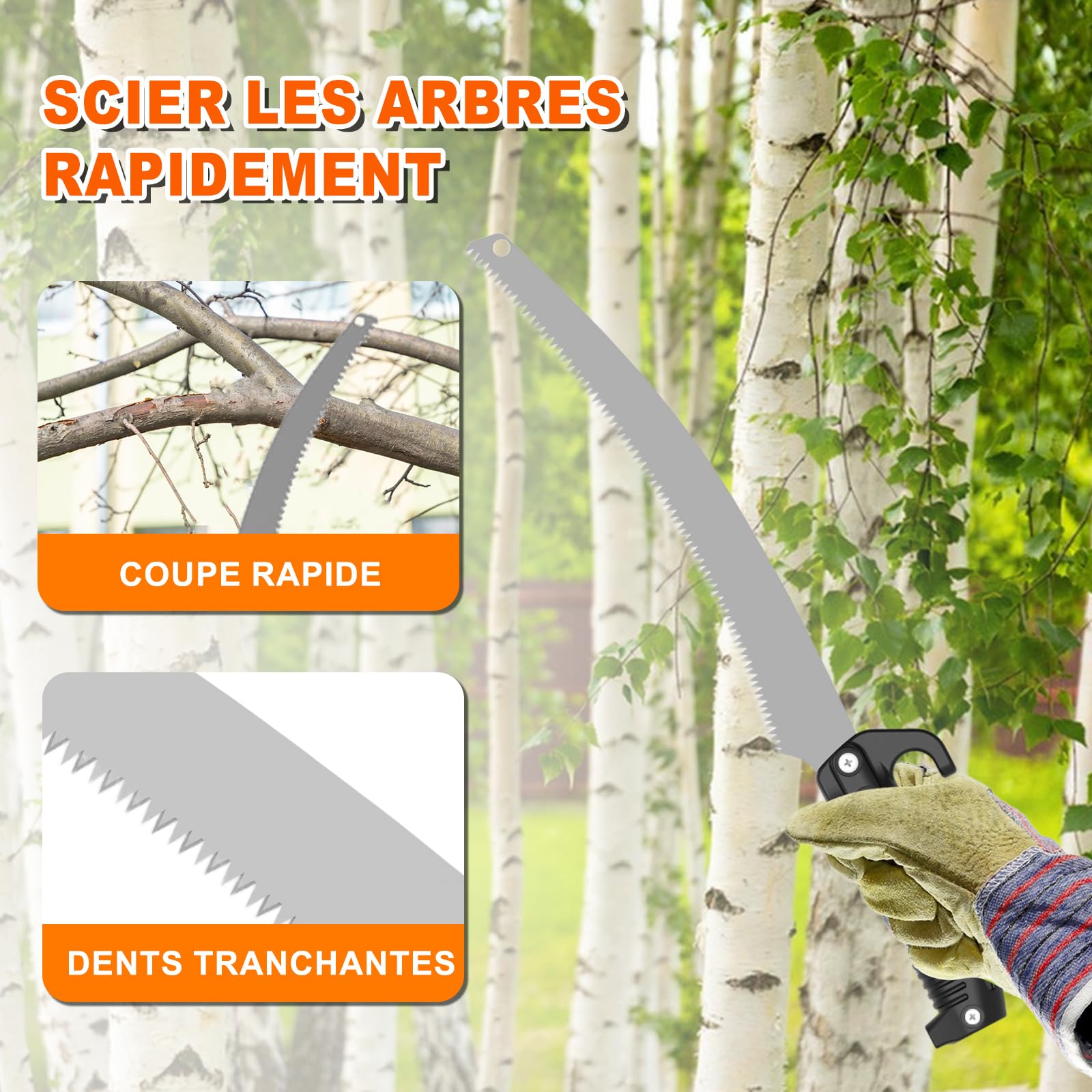 SISUPASSIE Scie Perche Télescopique 6 m, Scie d'Élagage Longue Portée Lame Professionnelle Perche Télescopique Durable, Scie Perche Manuelle Spécialement Conçue pour la Coupe de Branches
