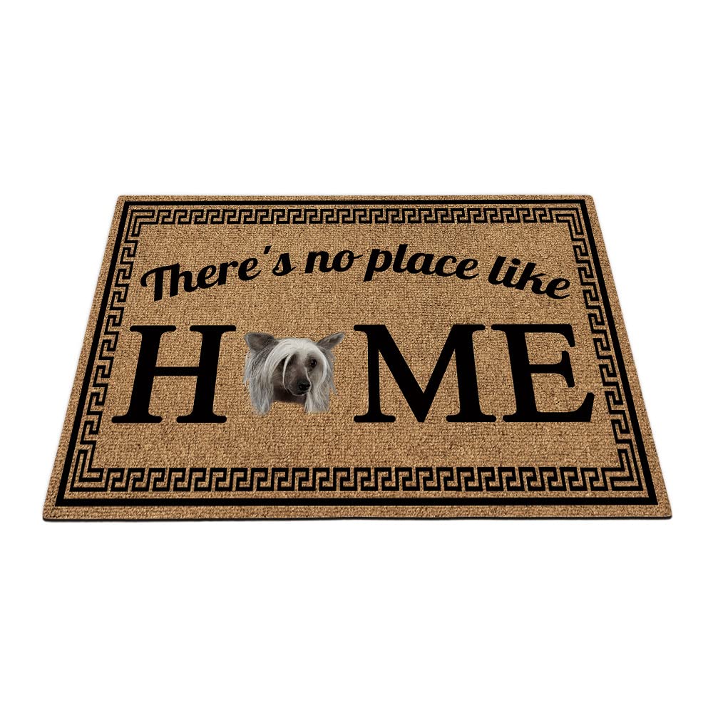 BAGEYOU There's no Place Like Home Doormat with Cute Chinese Crested Dog Welcome Floor Mat for Home Decor 35.4"x23.6"