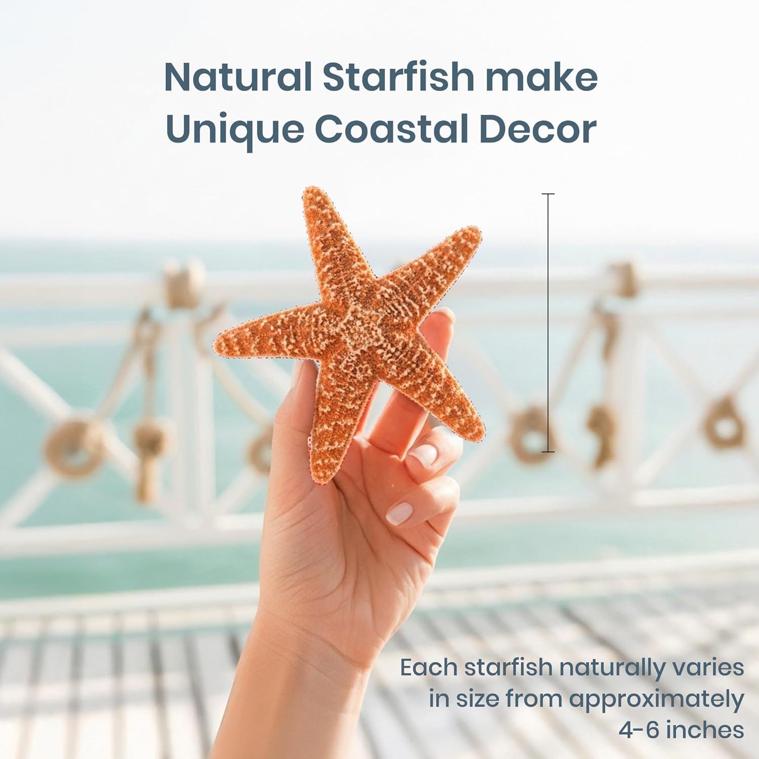 Nautical Crush Trading Real Starfish Decor- 5pk Large Brown Sugar Star fish (4-6in) - Starfish for Crafts - Star Fish Shells Decorations