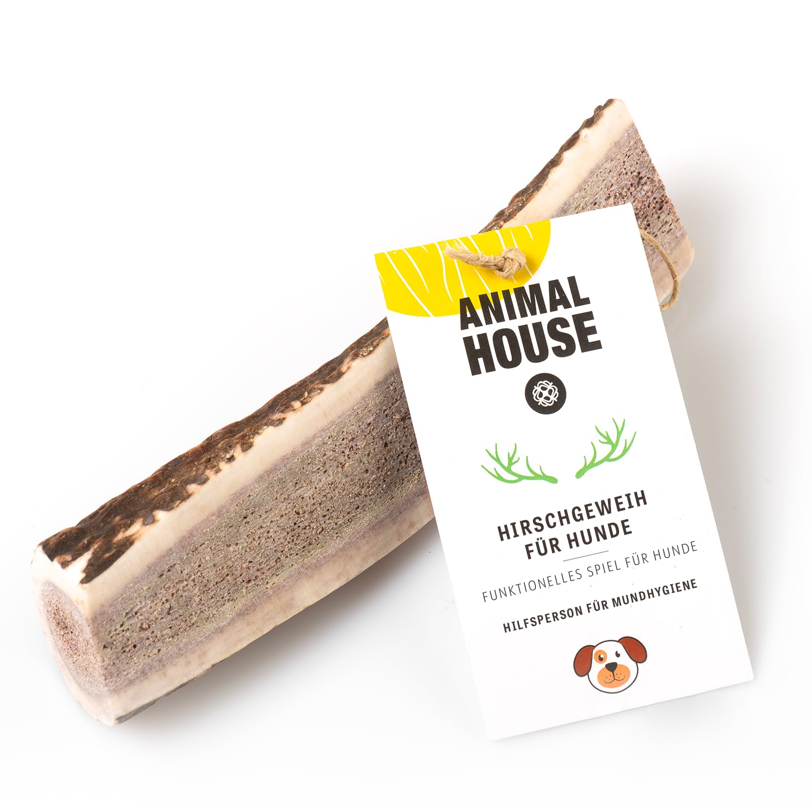 Animal House – Geteiltes Hirschgeweih für Hunde – 100% natürlicher Kausnack – Stärkt die Mundhygiene – Widerstandsfähig und langlebig – In Allen Größen erhältlich (L)