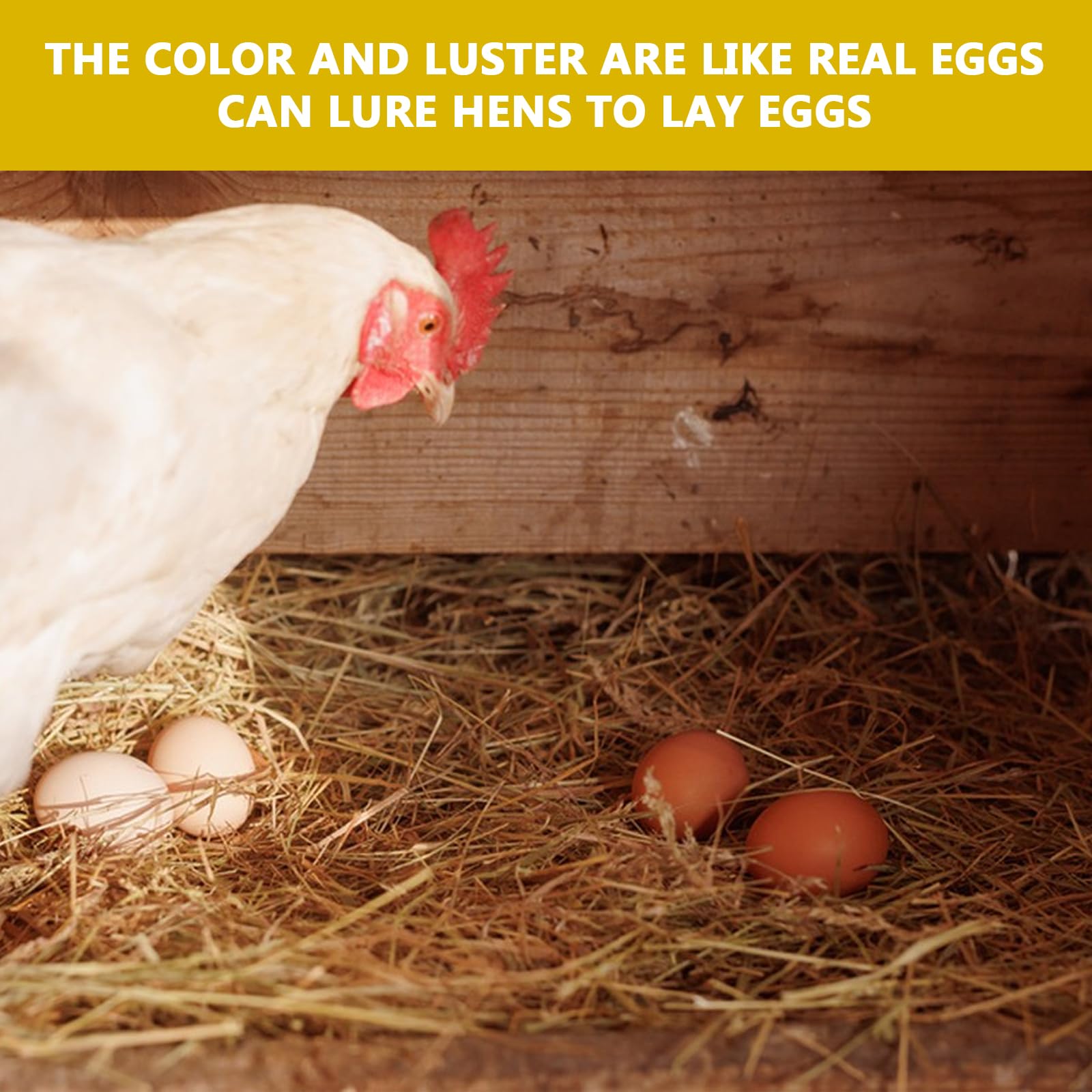 Accessori Pollaio Fai Da Te Uova Finte In Legno Per Galline - 5 Pezzi Uova  Artificiali Per Nido - Incentivano Deposizione Uova Finte Legno, image size:1600x1600