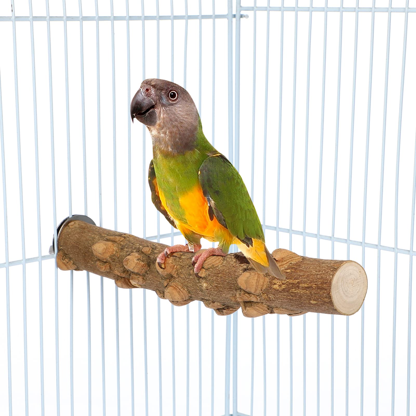 POPETPOP 7 Piezas Poste De Madera De Pimiento Percha De Loro para Jaulas Percha para Pájaros Soporte De Perchas De Madera Perca Pinzón Agapornis Puesto De Juego De Madera Utensilios Natural