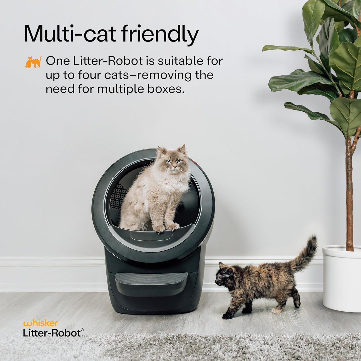 Litter-Robot 4 with Step & Fence by Whisker, Black - Automatic, Self-Cleaning Cat Litter Box, Helps Reduce Litter Box Odors, Never Scoop Again, Includes 1 Year of WhiskerCare