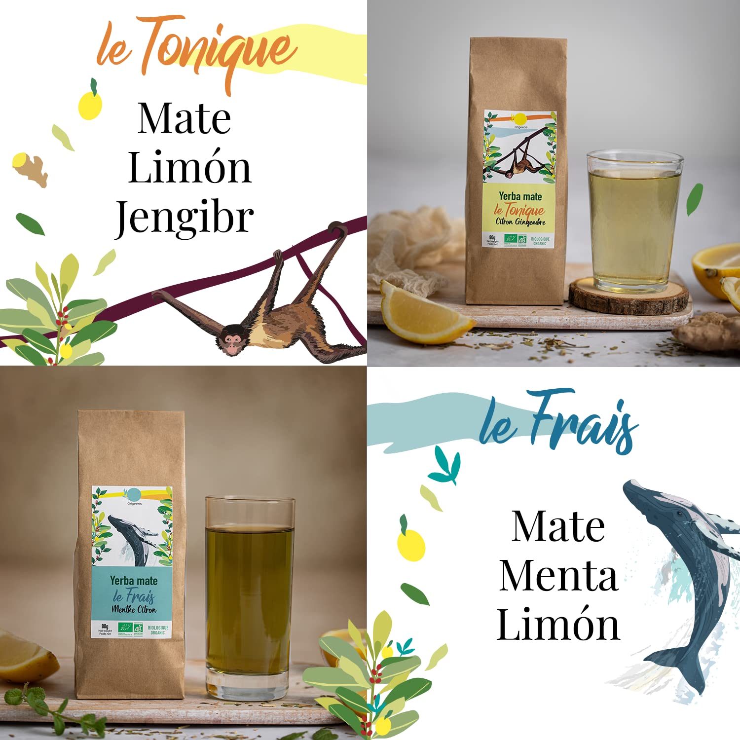 ORIGEENS CAJA MATE ECOLOGICO X 4 | Yerba Mate ecológico 4x80gr | Set mate, idea regalo