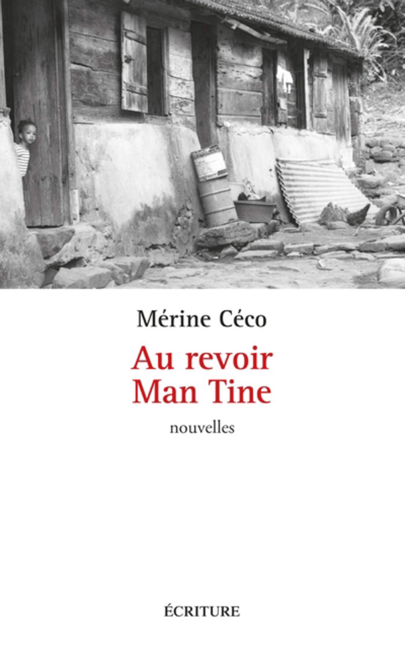 Au revoir Man Tine (French Edition)