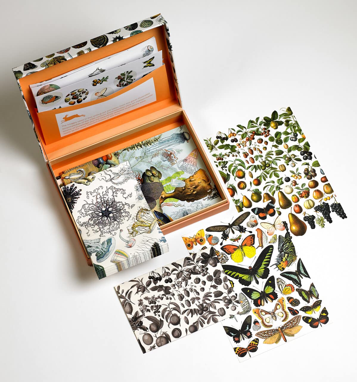 Natural History Letter Writing Set / Briefpapier Set / Set de Correspondence Letter Wrting Set