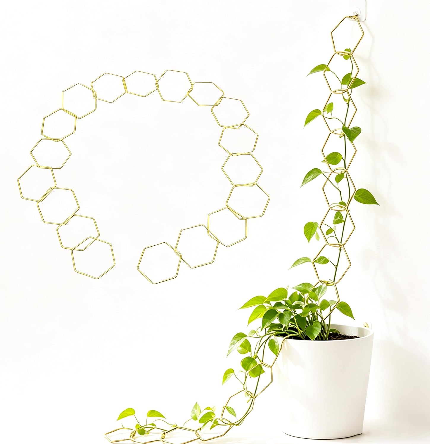 Wall Trellis Indoor, Garden Trellis Plant Accessories