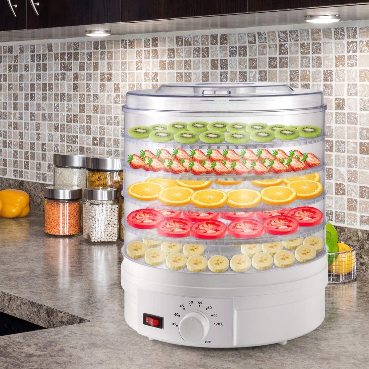 フードドライヤー 食品乾燥機 400W 360°熱風循環加熱 両面ガラス 6段