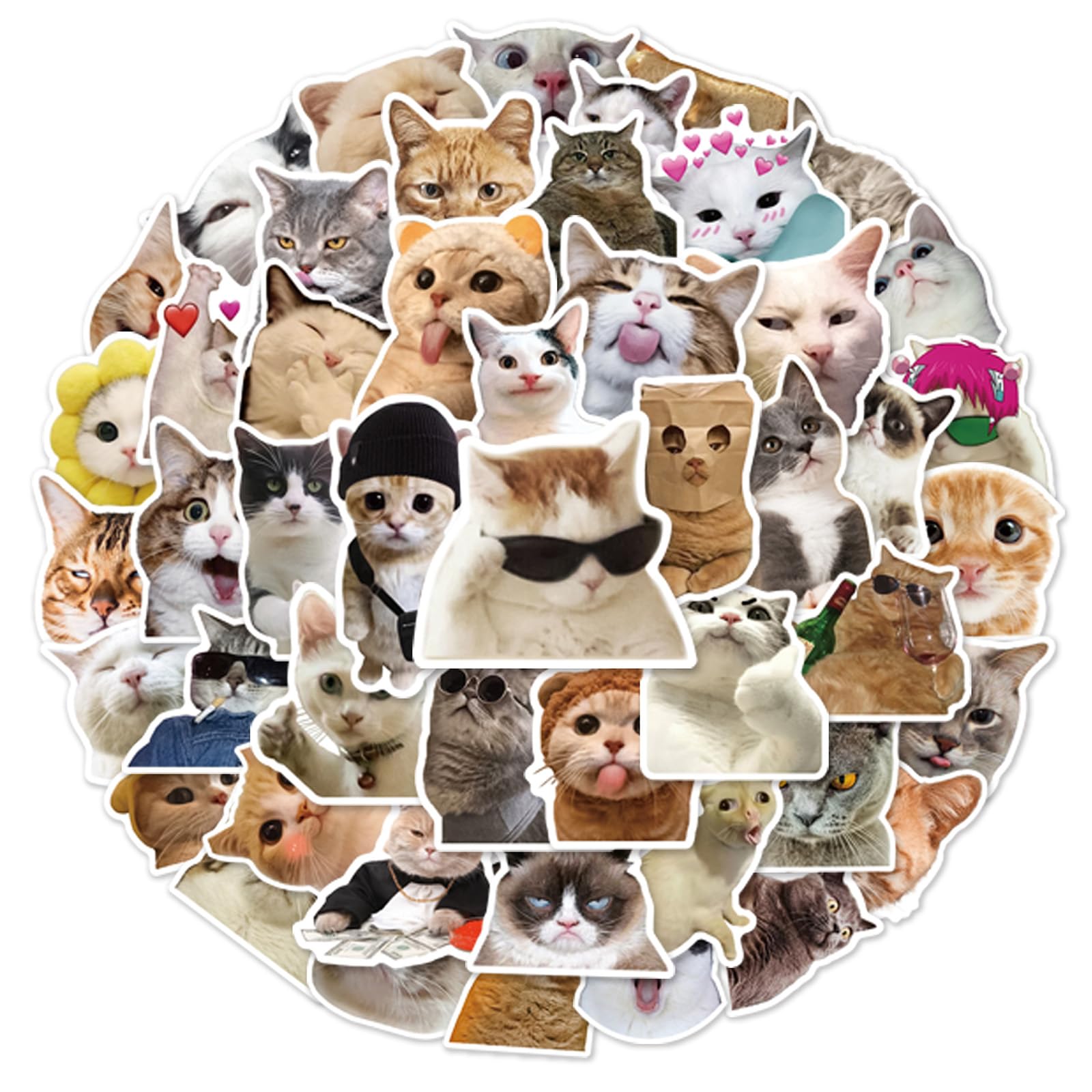POPOYU 100pcs Realistic Cute Funny Cat Stickers for Teens,Cartoon Theme Water Bottle Stickers for Teens Boys Girls,Anime Vinyl Stickers Party Favors for KidsParty Bags Filler,Laptop,Skateboard