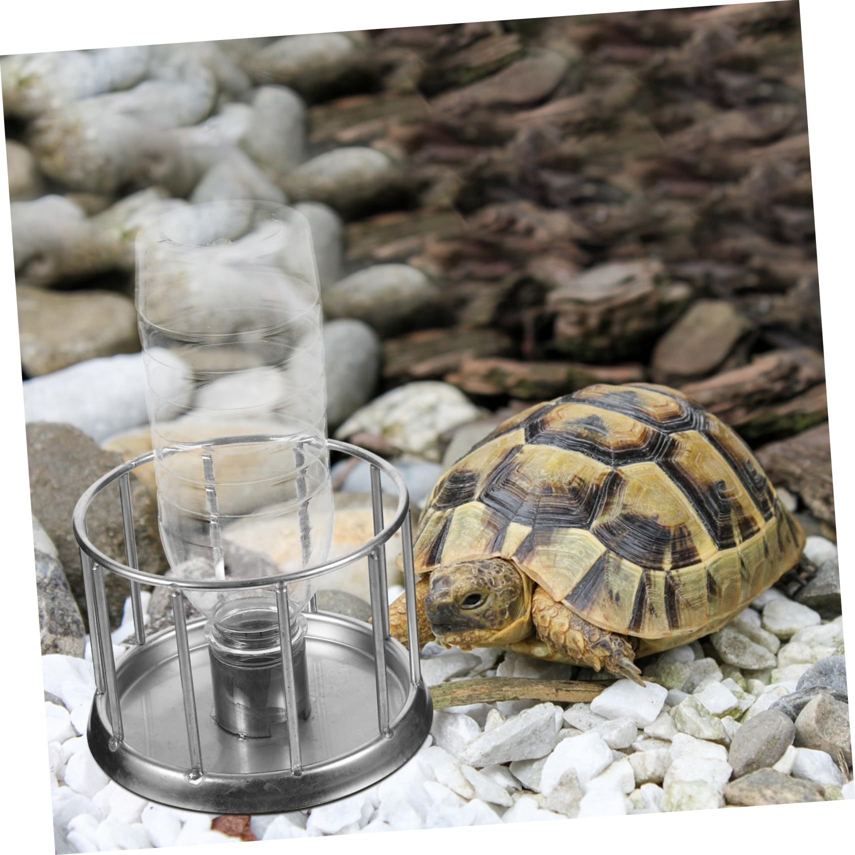 5piezas Mini Bebedero De Acero Inoxidable para Tortugas y Lagartos Plato De Agua para Terrario y Reptiles para Mascotas Pequeñas Fácil De Limpiar y Duradero