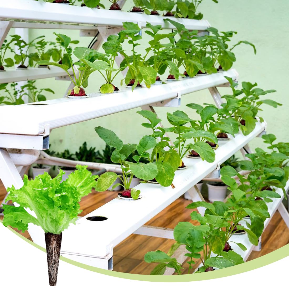 20 piezas esponjas de repuesto, cápsulas de semillas de inicio, crecimiento de raíces, compatible con sistema hidropónico, esponjas de inicio de siembra para hidropónico en interiores