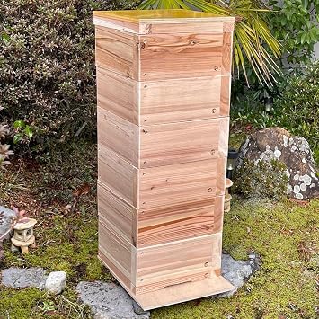 Japanese Honeybee Breeding Box, Easy, Heavy Hive Box, Waiting Box, Beehive Box, Made in Japan, Cedar Wood, Set of 6