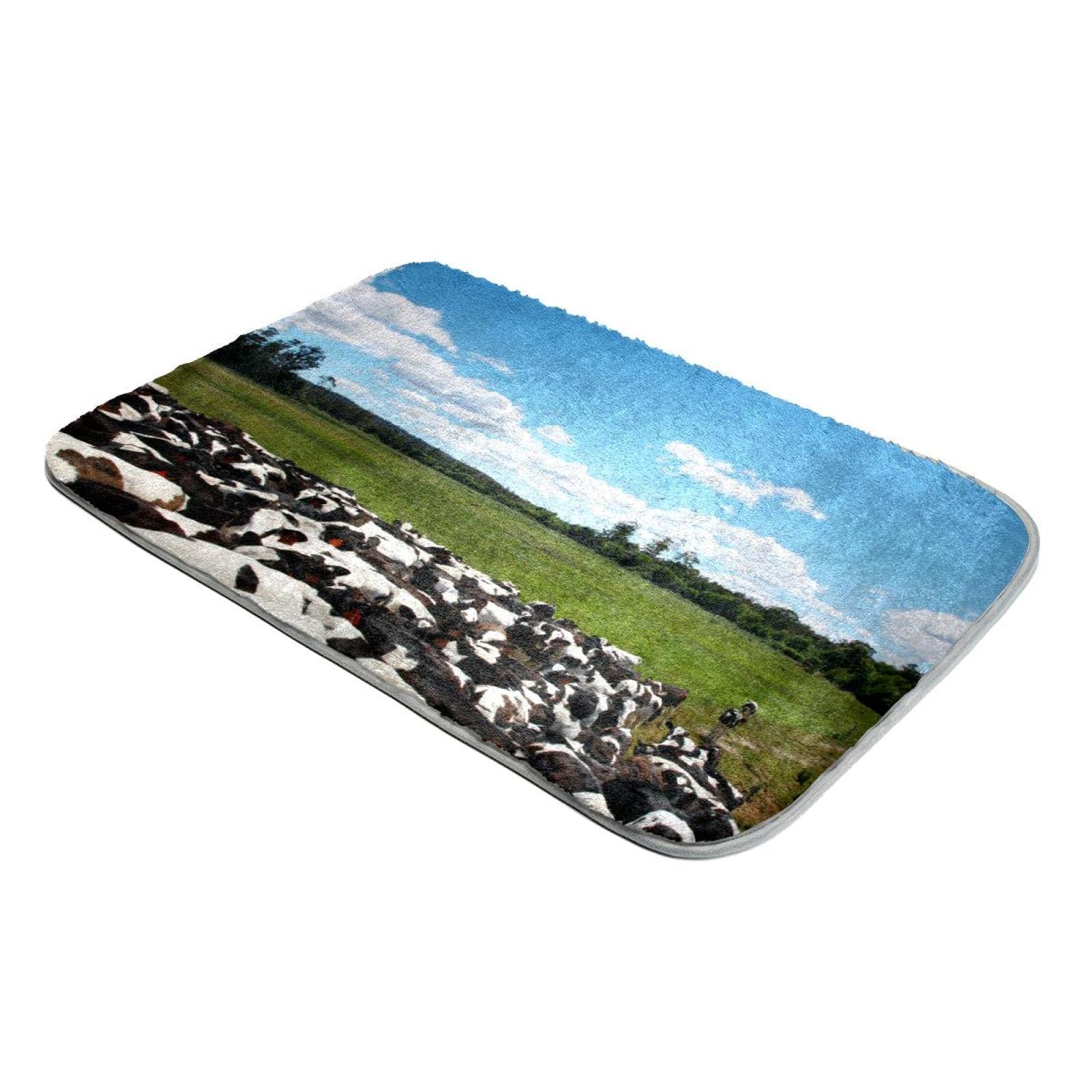 Tapis en fausse fourrure de vache à poils longs pour salon doux