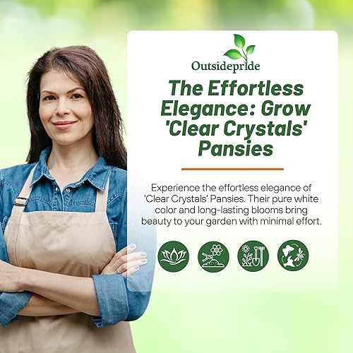 Miniatura 5 de Outsidepride Semillas de pensamiento de viola blanca cristalina para plantar, 2000 piezas. Flores bienales, resistentes al frío y aptas para